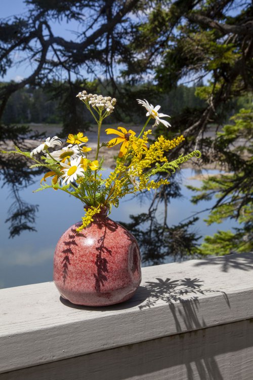 vase on ledge