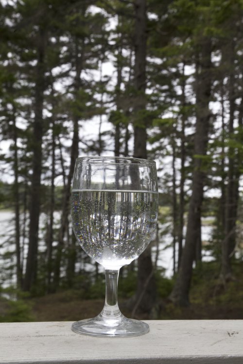 glass with water and trees behind