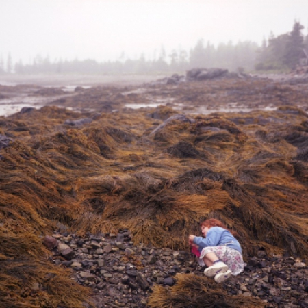 child on beach