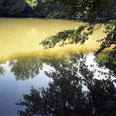 water reflection